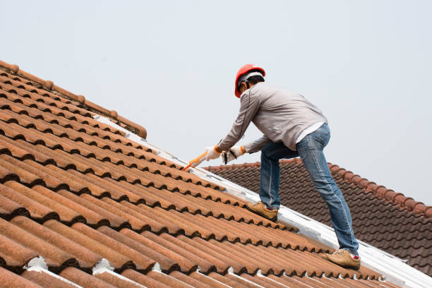 Best Roof Maintenance and Cleaning  in Butler Beach, FL